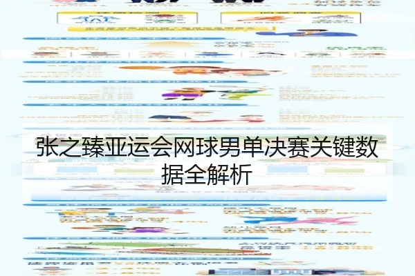 张之臻亚运会网球男单决赛关键数据全解析
